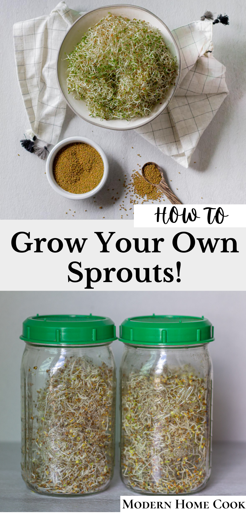 How To: Grow Sprouts At Home - Modern Home Cook Recipes